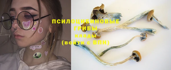 ECSTASY Алексеевка