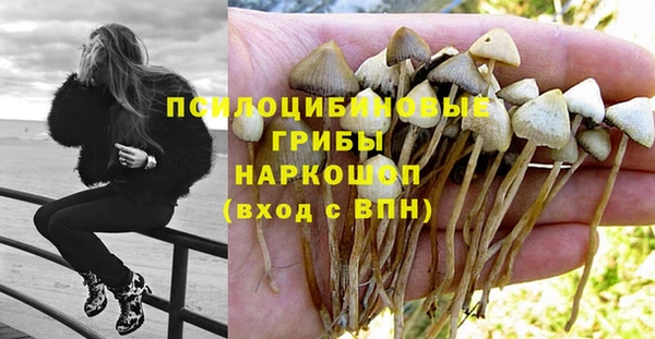 MESCALINE Армянск