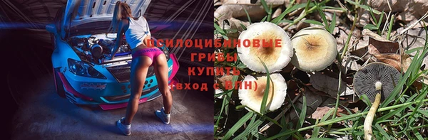 ПСИЛОЦИБИНОВЫЕ ГРИБЫ Пестово